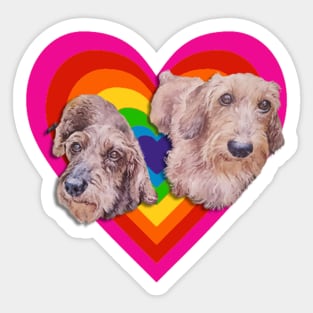 Super cute wirehaired dachshunds on a vibrant heart Sticker